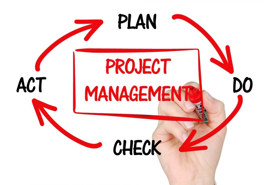 The project management lifecycle